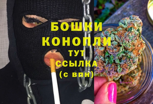 спайс Богданович